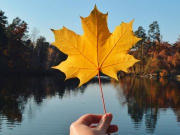 Погода у Луцьку на завтра, 10 жовтня 