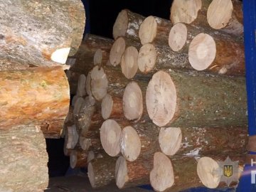 На Волині затримали водія з нелегальною деревиною. ФОТО