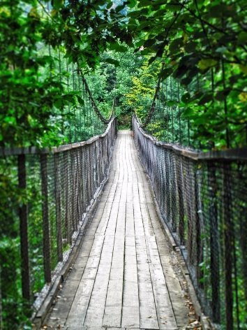 Чарівність карпатського літа крізь об'єктиви українських фотографів. ФОТО
