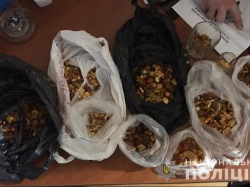 Вдома у лучанки знайшли 3 кілограми бурштину