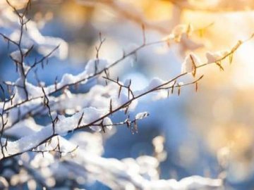 Погода в Луцьку та Волинській області на середу, 26 лютого