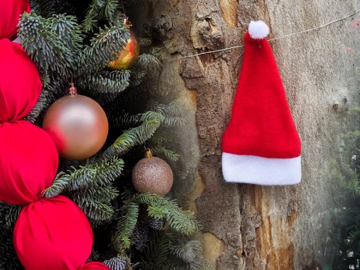 Як у Луцьку відзначатимуть новорічні свята: заходи