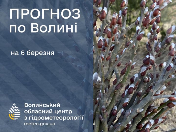Якою буде погода у Луцьку та на Волині 6 березня