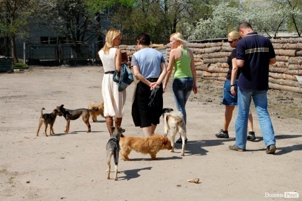 ФОТОРІК-2012. Частина перша