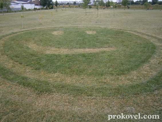 Креатив комунальників по-волинськи
