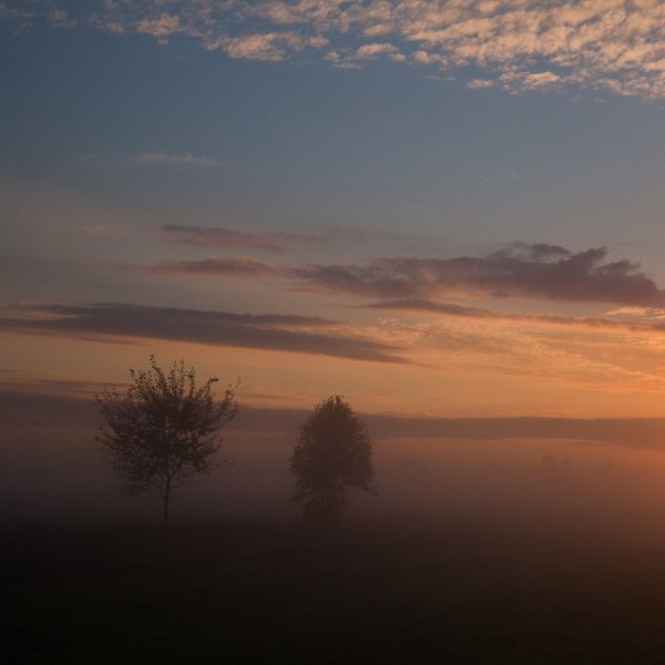 Фотовиставка Юрія Наумовича