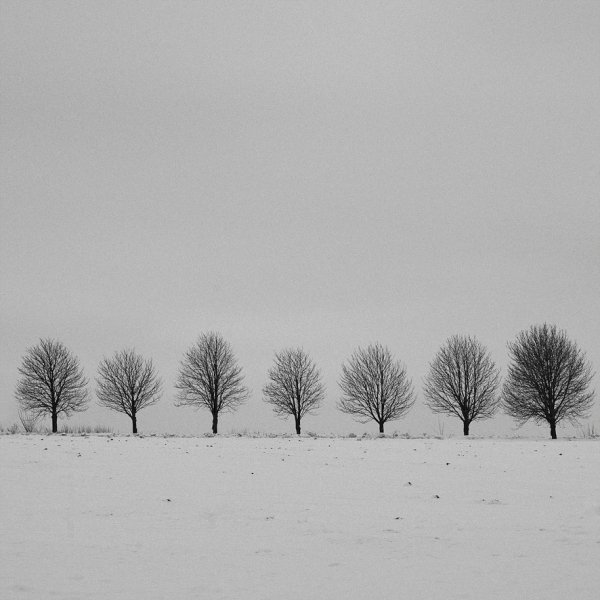 Фотовиставка Юрія Наумовича