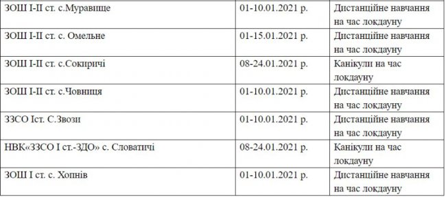 Повідомили, як на Ківерцівщині працюватимуть школи під час локдауну