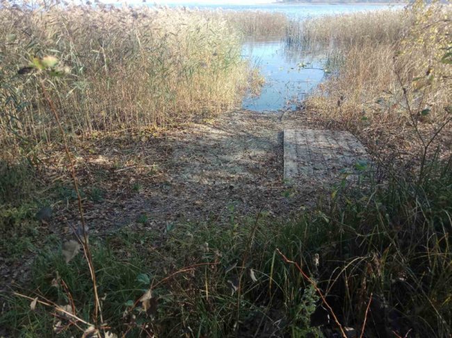 На Світязі працює робоча група, яка обстежує причини обміління озера 