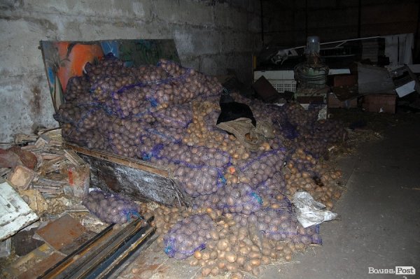 Як гріються тварини у Луцькому зоопарку. ФОТО