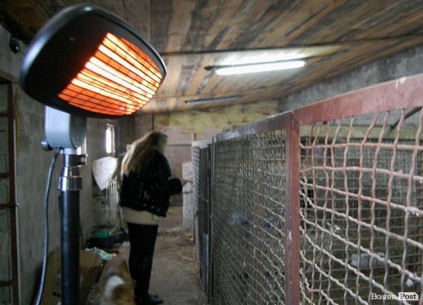 Як гріються тварини у Луцькому зоопарку. ФОТО