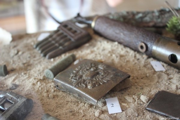 Як скаути з Польщі  відзначали на Волині ювілей. ФОТО