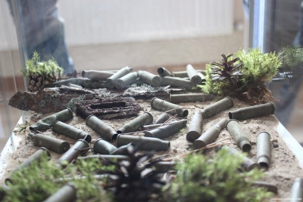 Як скаути з Польщі  відзначали на Волині ювілей. ФОТО