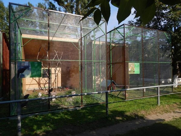 У Луцькому зоопарку оновили вольєри. ФОТО