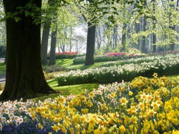 Повідомили, якою буде погода у найближчі дні