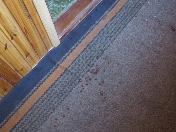 У Луцьку розгромили комуністів. ФОТО