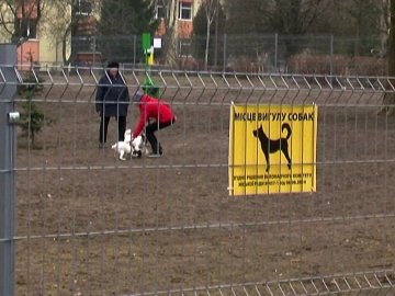 На весь Луцьк - тільки 1 цивілізований майданчик вигулу собак