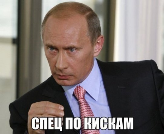 Інтернет жартує з Путіна і його малюнку кішки. ФОТО