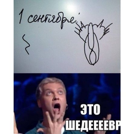 Інтернет жартує з Путіна і його малюнку кішки. ФОТО