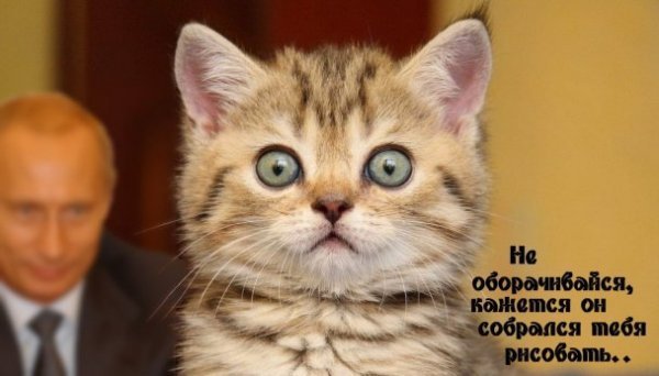 Інтернет жартує з Путіна і його малюнку кішки. ФОТО