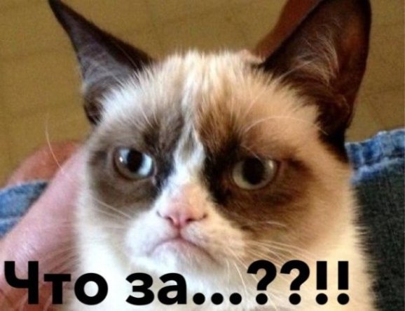 Інтернет жартує з Путіна і його малюнку кішки. ФОТО