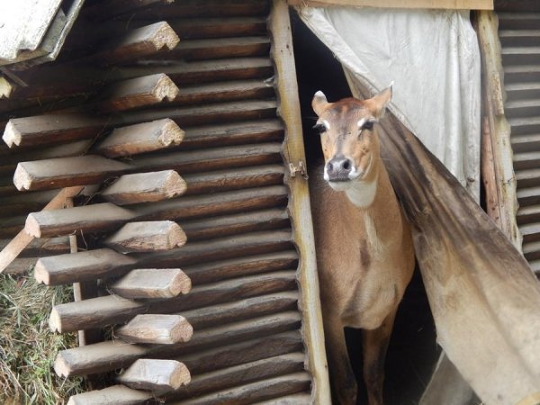 Як дружать жителі Луцького зоопарку. ФОТО