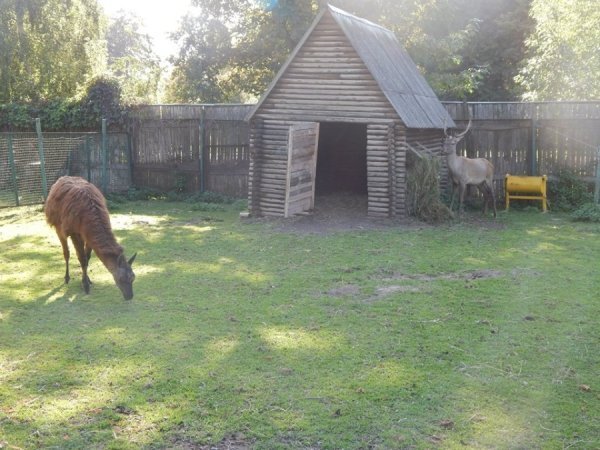 Як дружать жителі Луцького зоопарку. ФОТО