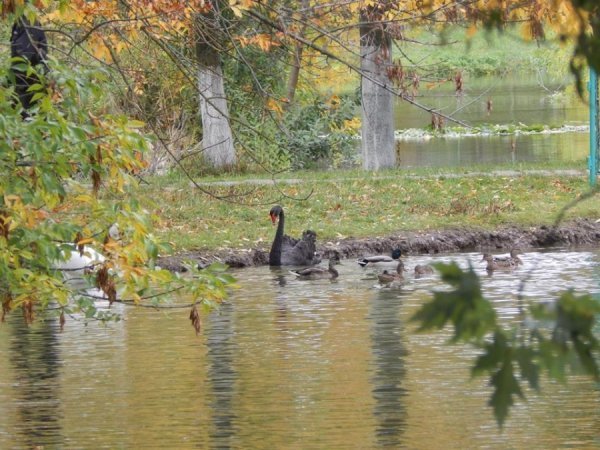 Як дружать жителі Луцького зоопарку. ФОТО