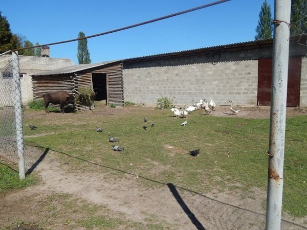 Як дружать жителі Луцького зоопарку. ФОТО