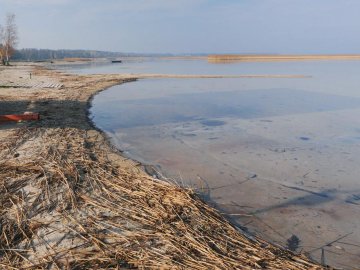 «Це несмішно»: волинський фотограф б'є на сполох через обміління Світязю