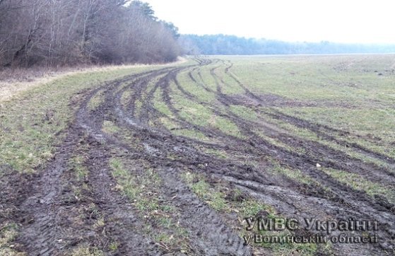 Учасників «волинського сафарі» можуть посадити на чотири роки. ФОТО