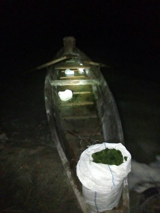 На Волині впіймали браконьєрів, які збирали водорості для очищення води