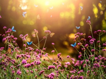 Погода у Луцьку на завтра, 4 червня