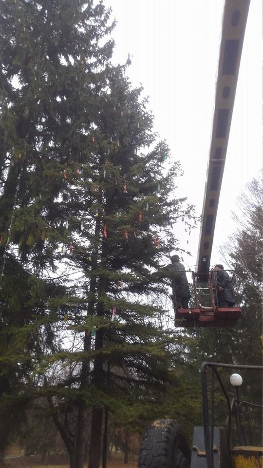 У Луцьку прикрашали еко-ялинку. ФОТО
