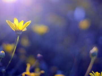 Погода у Луцьку та Волинській області на середу, 2 червня