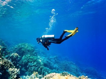 Як замовити водолазне устаткування та обладнання для дайвінгу новачкам та професіоналам*