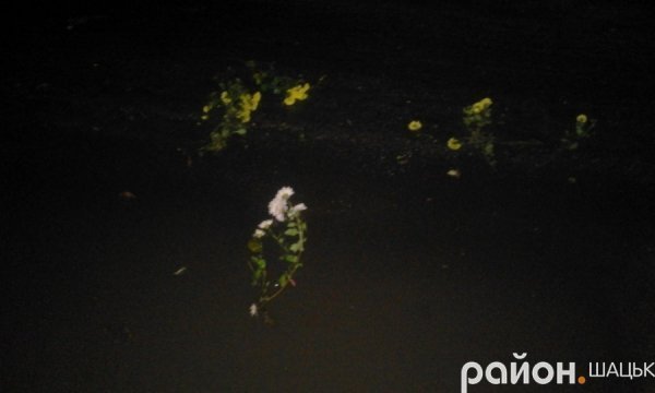 У Шацьку за добу - дві аварії