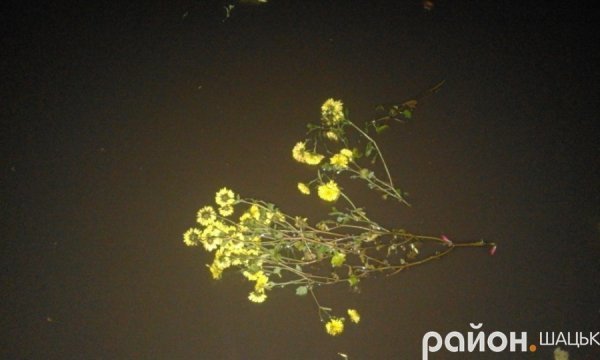 У Шацьку за добу - дві аварії