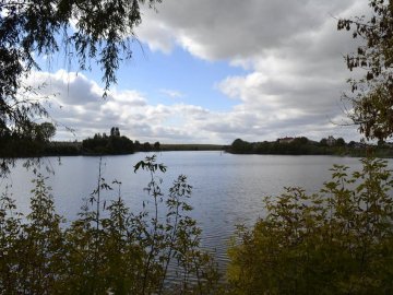 Чудовий парк на Волині заріс чагарниками і захаращений сміттям. ФОТО