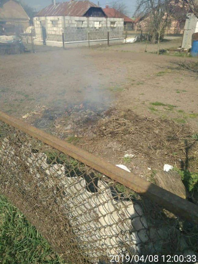 Після прибирання – протокол: у Луцьку знову спіймали палїів сміття. ФОТО