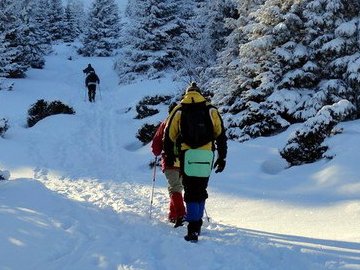 На Волині влаштують піший похід зимовими лісами