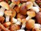 Чоловік отруївся грибами, купленими на ринку в Нововолинську