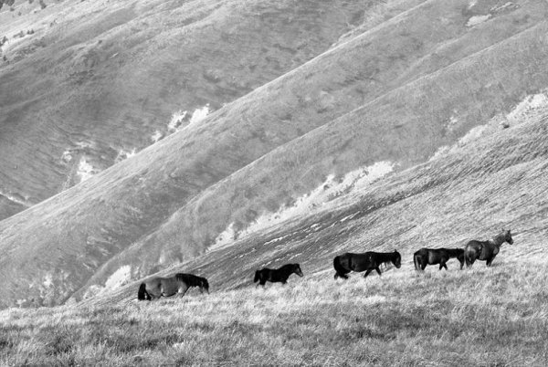 Фотовиставка Тараса Цибуха