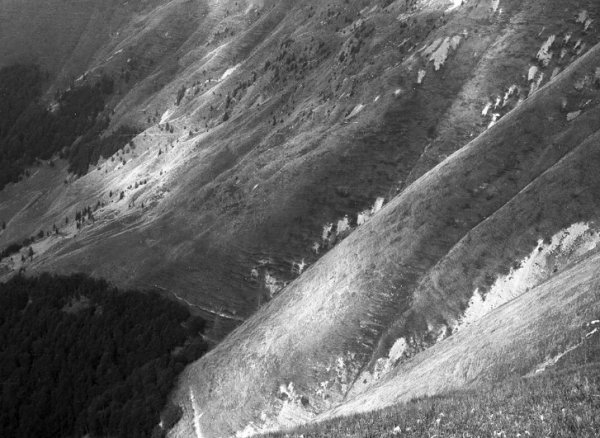 Фотовиставка Тараса Цибуха