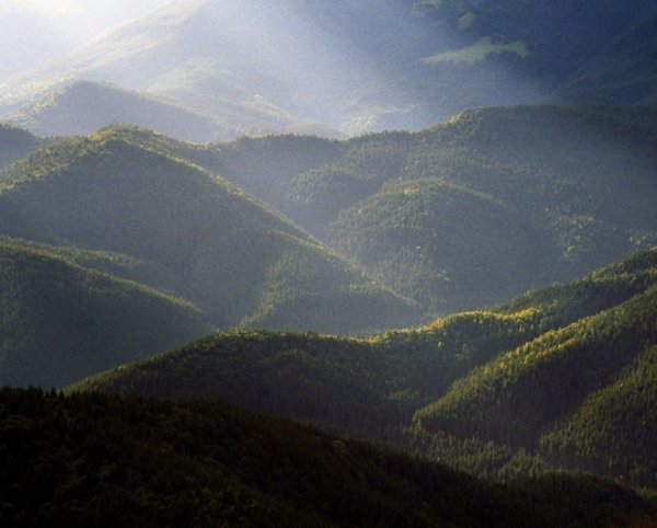 Фотовиставка Тараса Цибуха