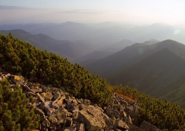 Фотовиставка Тараса Цибуха