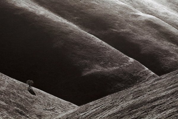 Фотовиставка Тараса Цибуха