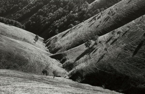 Фотовиставка Тараса Цибуха