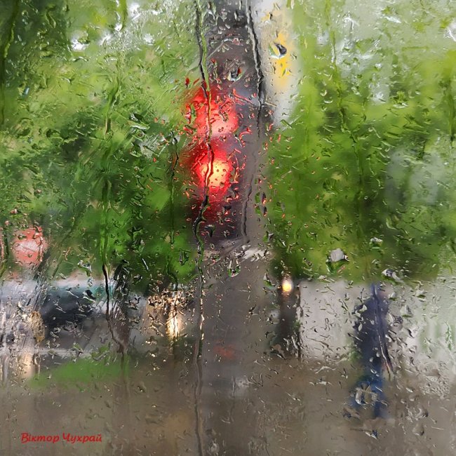 Луцький фотограф поділився «дощовими» світлинами