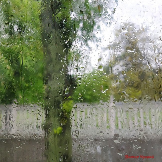 Луцький фотограф поділився «дощовими» світлинами